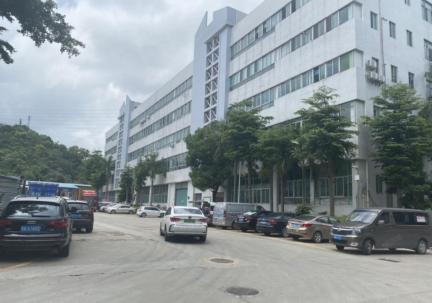 坂田杨美工业园1万平厂房出租300平起分租精装修一楼仓库物流