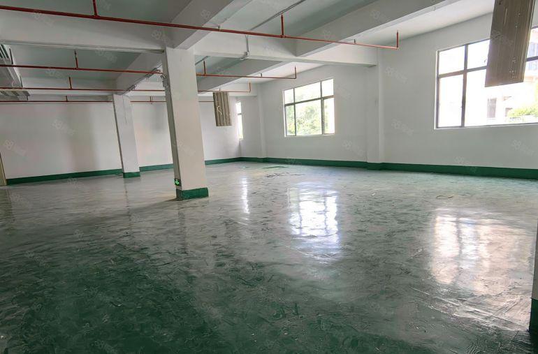 特价19块9元坂田红本厂房出租出租500平方可分租三面采光。