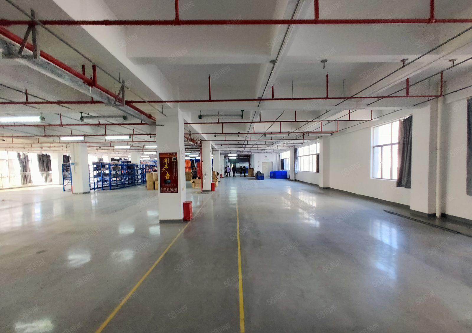 龙岗宝龙新出经典小独院2层2000平厂房出租报价20元可分租