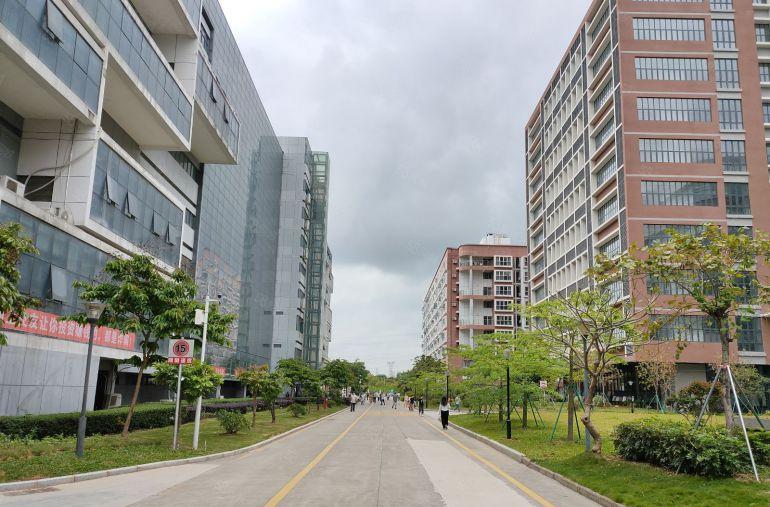 坪地高桥工业区原房东3楼2000平带地坪漆厂房低价出租可分租