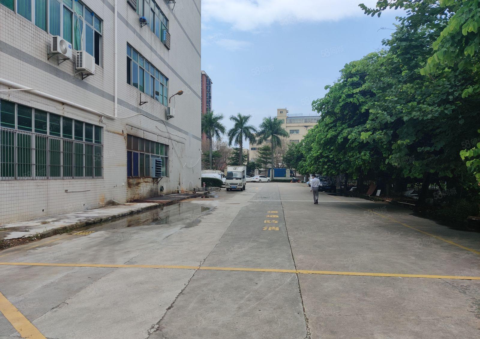 龙岗横岗地铁口红本园区精装修1000平出租大小可分租