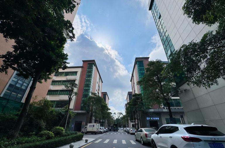 龙岗中心城厂房出租500平起租精装电商一楼仓库出租分租