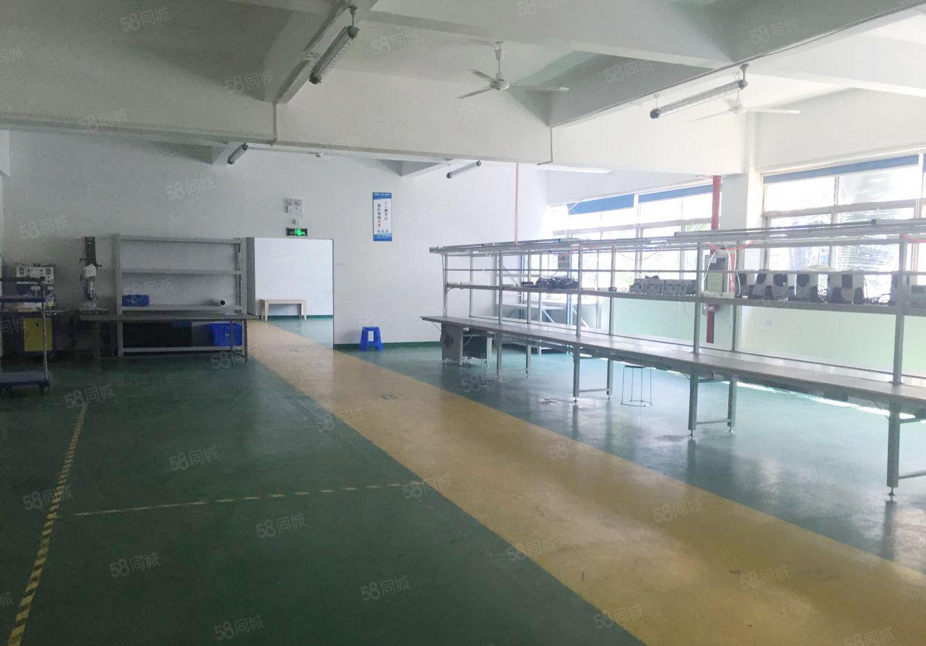 龙岗原房东独门独院厂房出租4200平5500平9500平8套