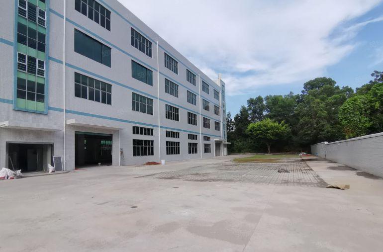 出租龙岗宝龙工业区800平标准厂房出租仓库招租300平起分租