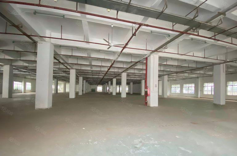 龙岗爱联500平起分至10000平厂房出租仓库出租