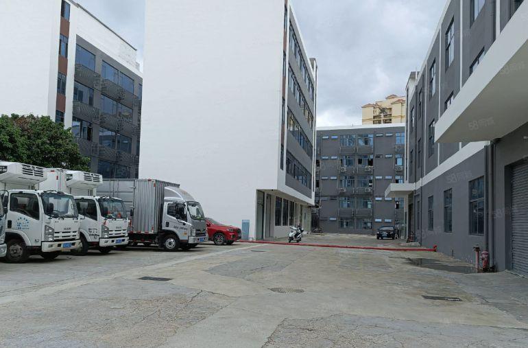 横岗新出1000平至5000平一二楼厂房仓库出租独院大小分租