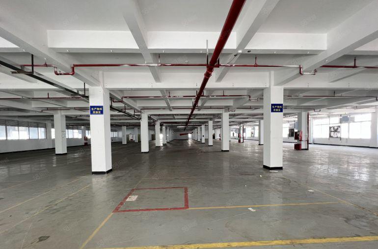 龙岗独栋展厅电商总部会所3000平方厂房出租带装修大小可分租