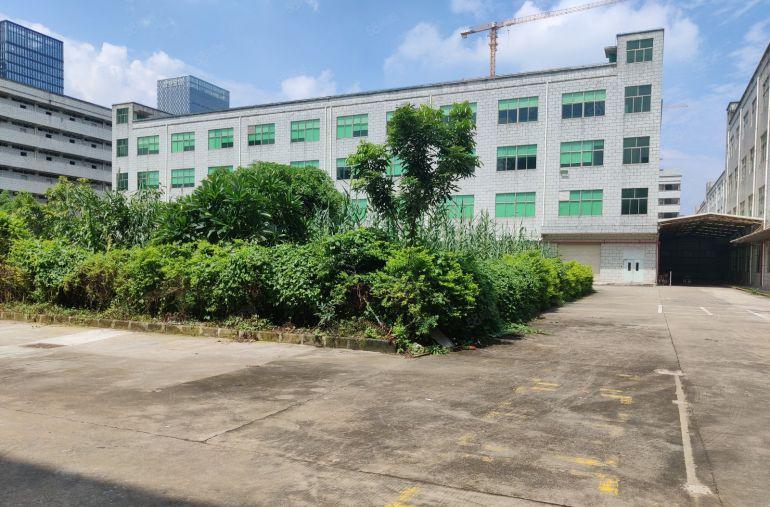 深圳平湖地铁口原房东一楼1200平花园式厂房出租带地坪漆免佣