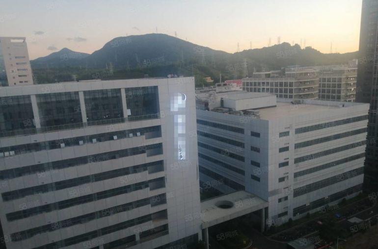 300平起分坪地低碳城原房东2000平精装修厂房一楼5.2米