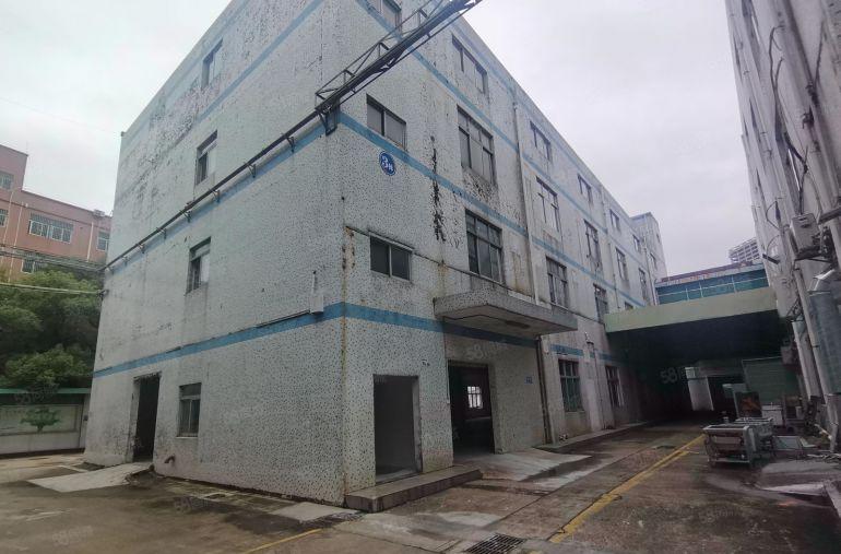 龙岗坪地500平原房东一楼上物流仓库生产研发办公低价出租分租