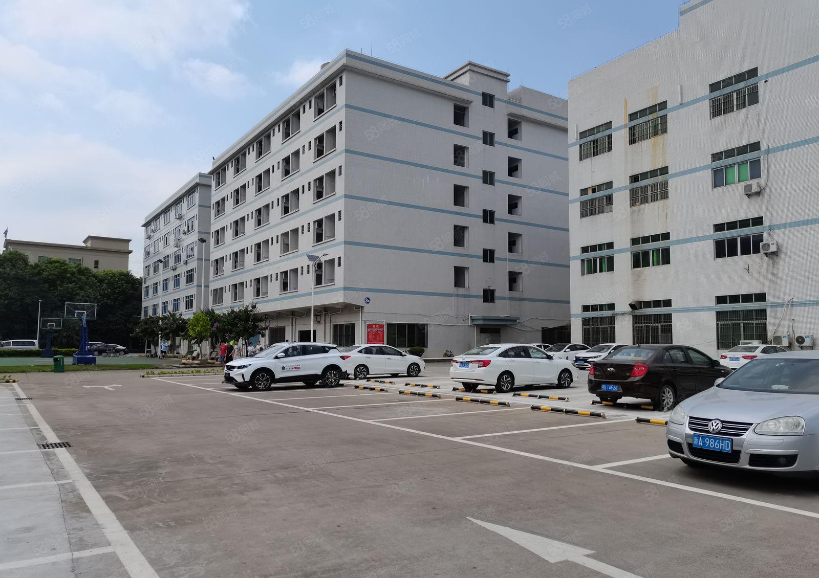 龙岗嶂背原房东独院2300平带前台和精装修办公出租厂房可分租