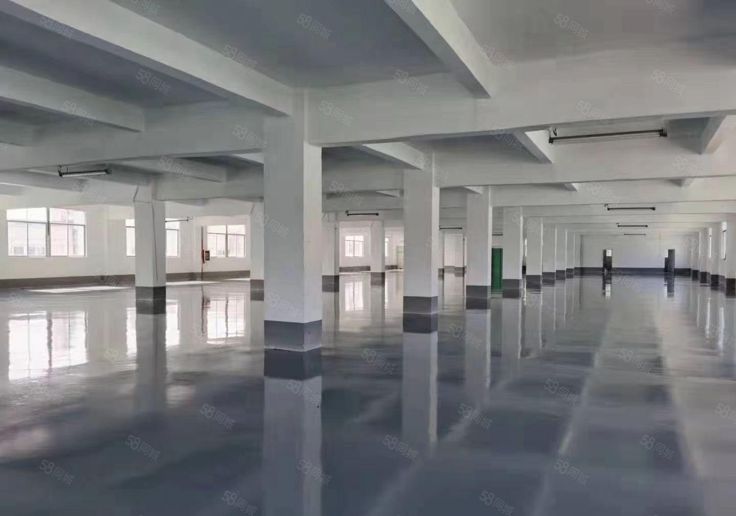 龙岗爱联嶂背工业区现成精装修楼上厂房500平方实际面积出租