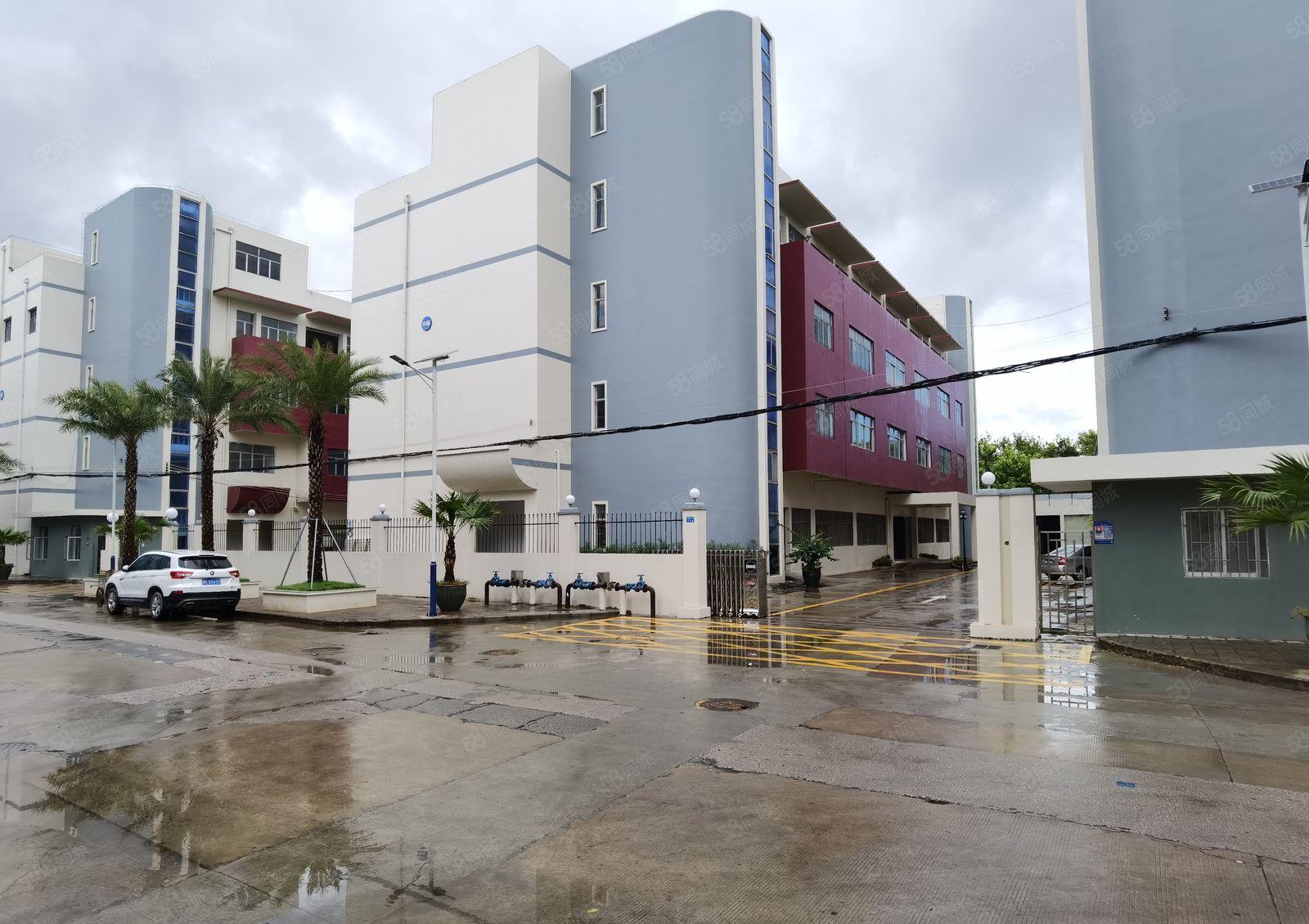 龙岗爱联新出独院5000平厂房仓库低价出租高速口原房东带装修