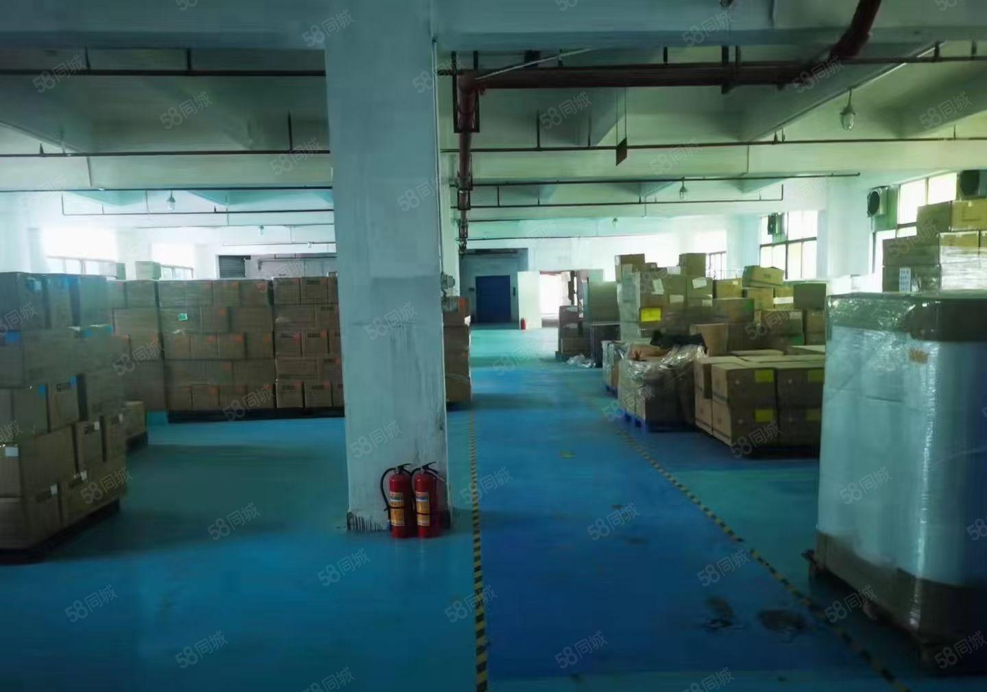 龙岗爱联嶂背园湖路独门独院4000平原房东带装修厂房出租分租