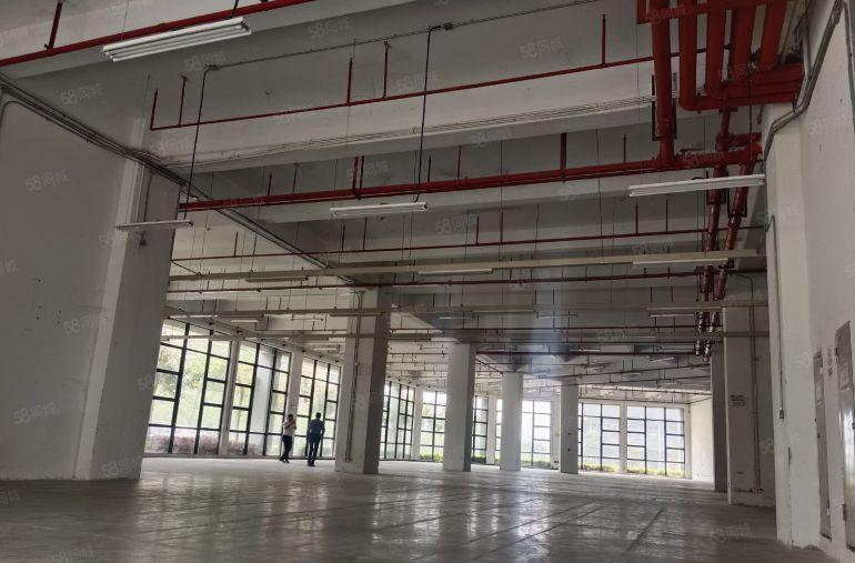 龙岗坪地900平原房东厂房仓库出租,带精装修办公室