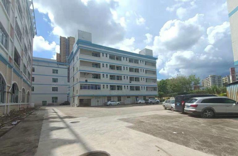 龙岗宝龙同乐楼上红本1000平厂房出租原房东仓库200起租