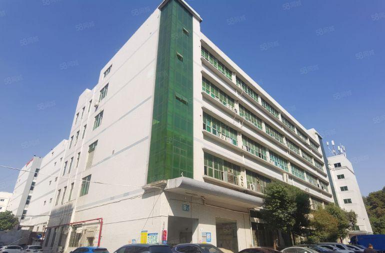 低价原房东平湖禾花地铁口2000平厂房仓库出租100平可分租