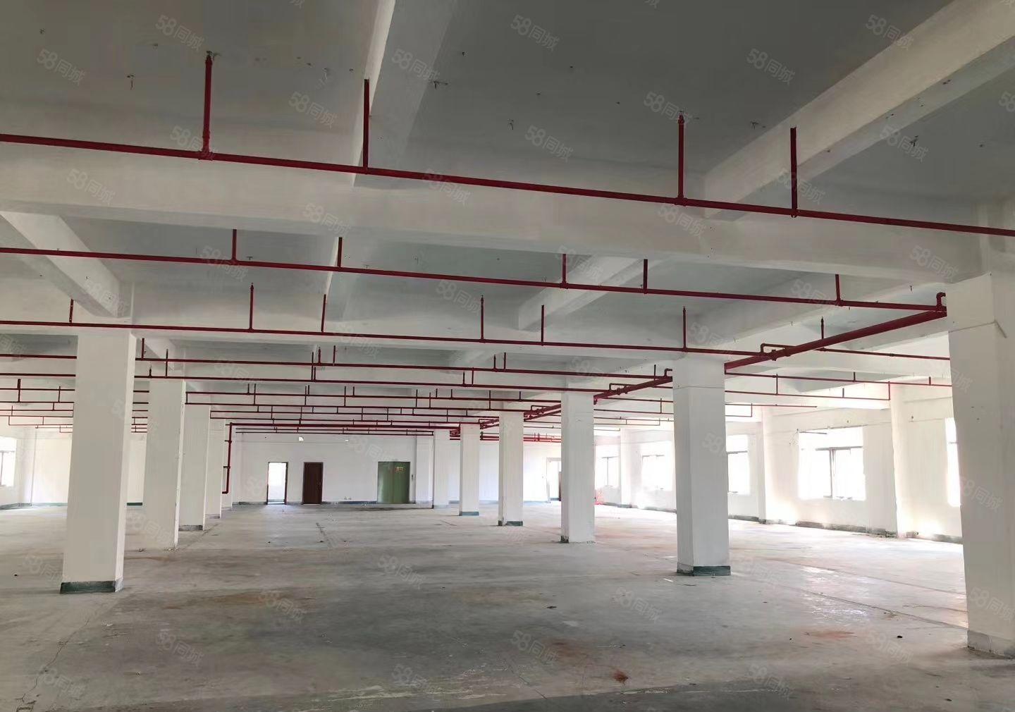 爱联南联 龙西五联 同乐 龙东宝龙300到30000平厂房分