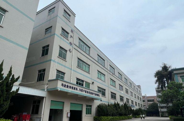 超长免租 同乐独门独院5000平精装修办公室仓库厂房出租