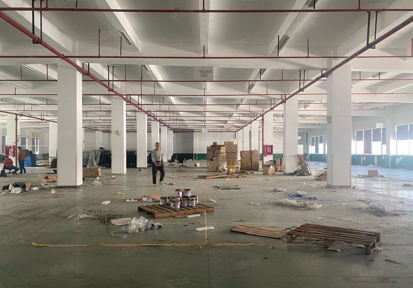 龙岗宝龙原房东楼上5002000平仓库厂房出租带卸货平台