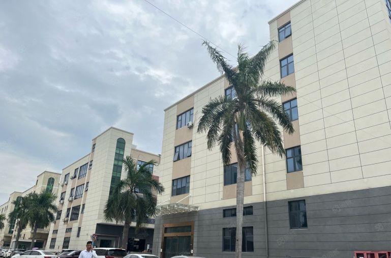 坂田5号线杨美站电商园200到1000平办公仓库厂房出租