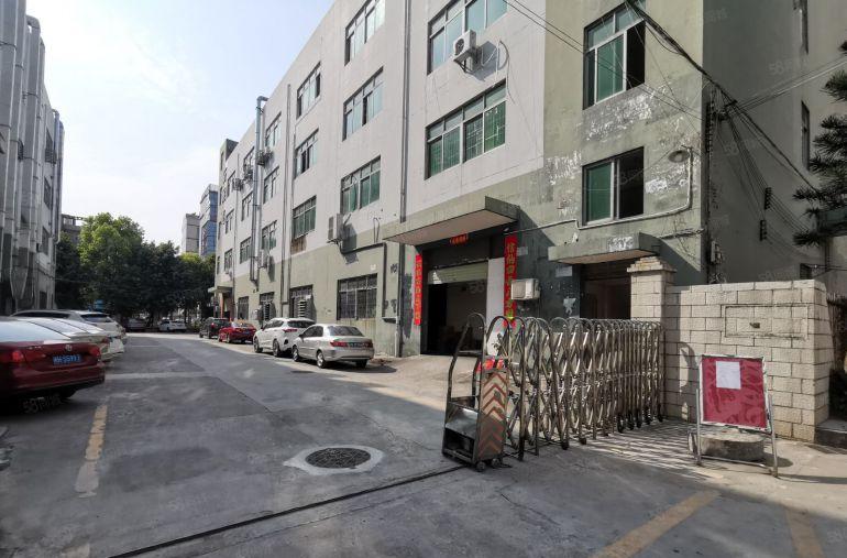 15元起龙岗独门独院工业园一楼仓库电商办公室无尘车间厂房出租