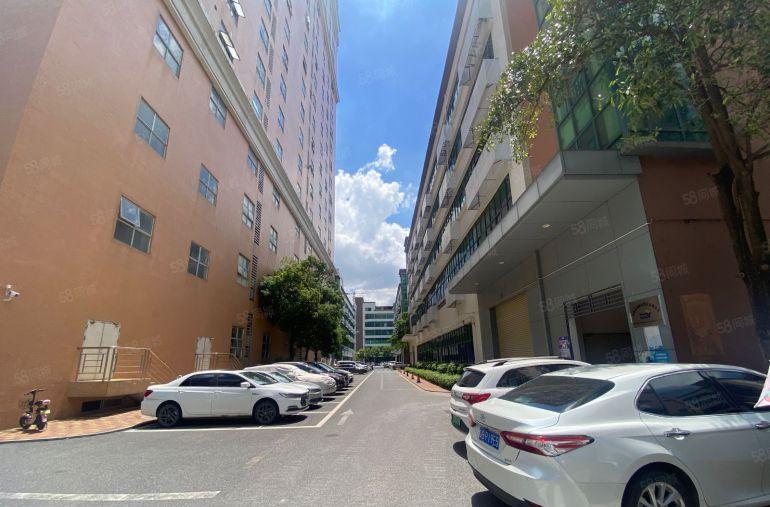 坂田云里智能园600平，电商办公仓库100平起租，带装修