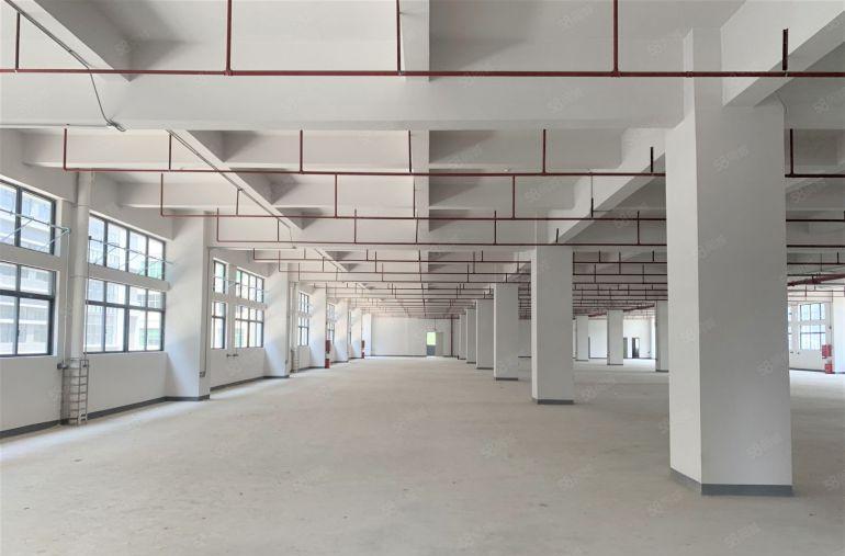 平湖辅城坳工业区原房东2400平可分租厂房仓库办公出租空地大