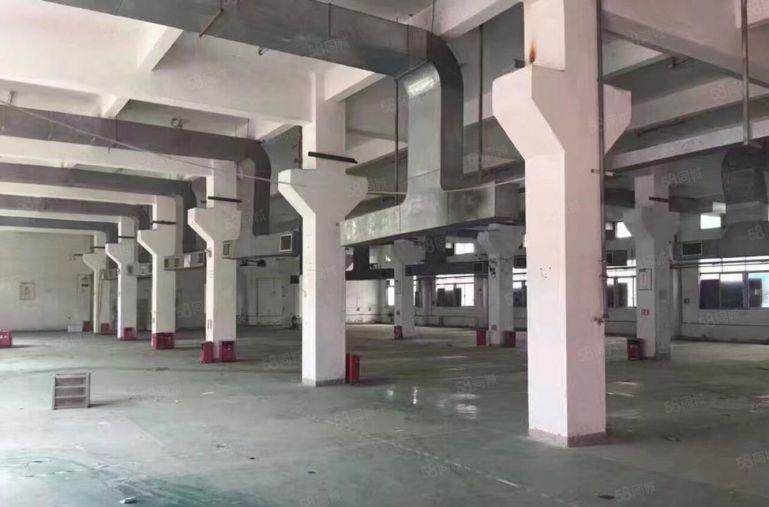 龙岗南联工业区一楼2000平仓库厂房出租 500平起分租