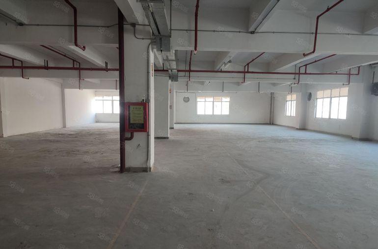 龙岗宝龙厂房丨5吨货梯丨分租200平方起 丨房东直租20元