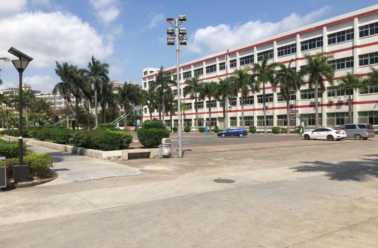 原房东，宝龙地铁口附近一楼500平带牛角办公室仓库厂房出租