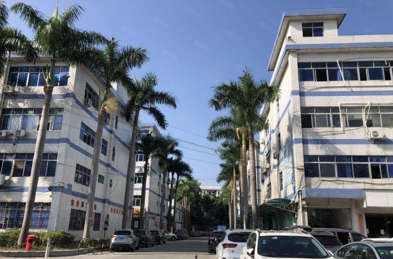 龙岗坪地原房东科技园楼上500平带装修办公室厂房出租 可分租