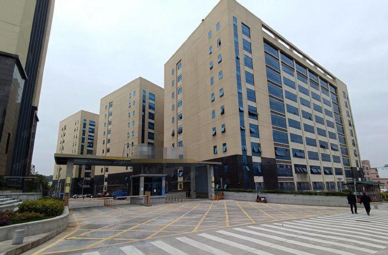 100平起租 坂田电商园1000平一楼厂房低价出租现成办公室