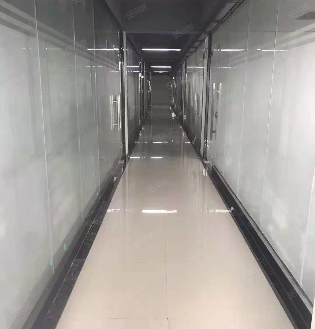 龙岗新生带装修250平米带办公室出租