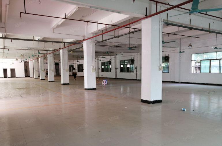 17元起租平湖上木古独门独院7600平方米厂房仓库出租可分租