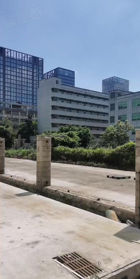 宝龙原房东独院原房东红本60000平厂房仓库出租可整租可分租