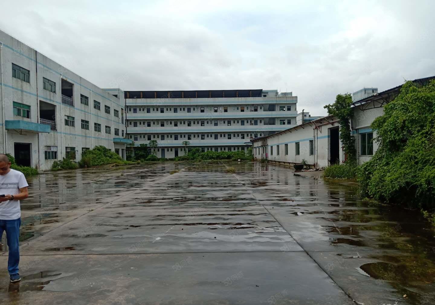 龙岗吉祥地铁口附近500平一楼带精装修厂房仓库出租现成办公室