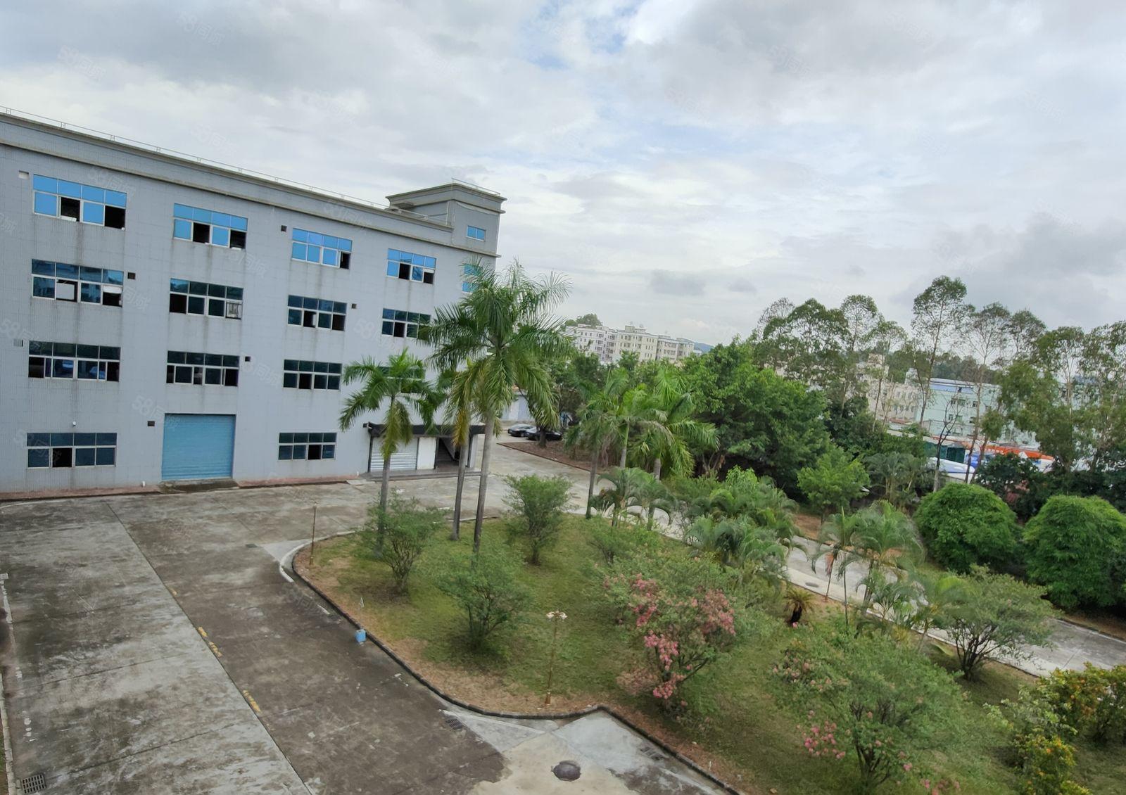 龙岗同乐2000平5000平8000平1万平方独院独栋出租