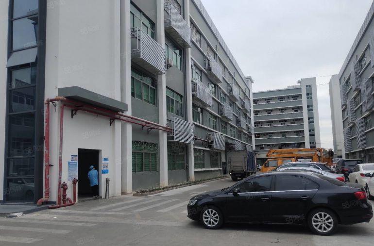 龙岗南联大工业区新出一楼二楼2180平精装修厂房出租可分租