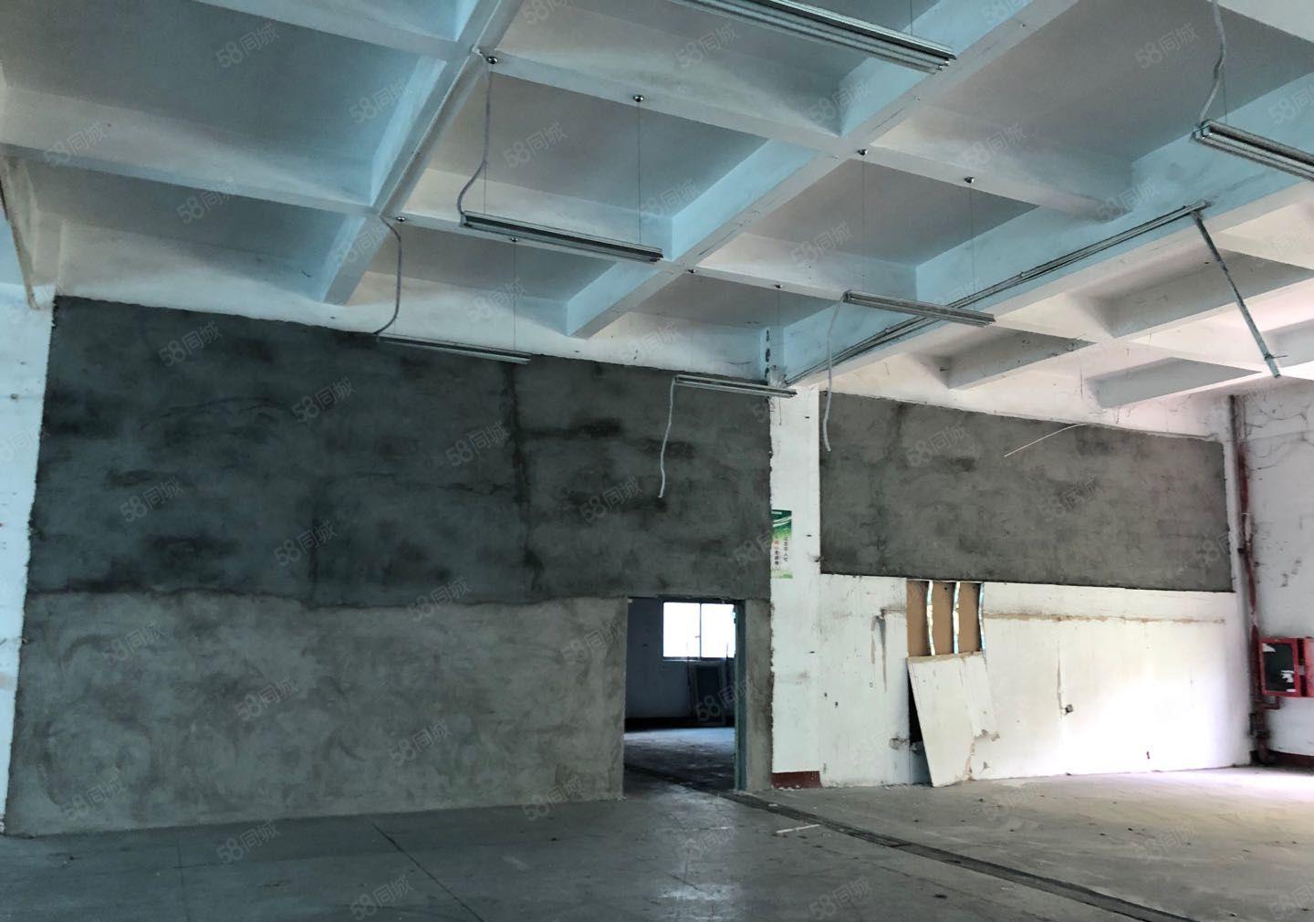 龙岗坂田上雪附近新出1500平一楼厂房出租