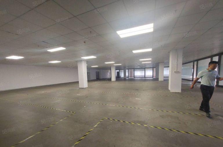 坂田杨美原房东厂房仓库出租1500平500平起分低价出租