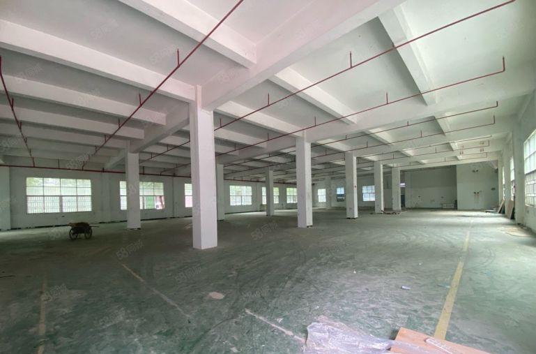 平湖鹅公岭工业区5000平厂房出租 原房东 形象好大小可分租