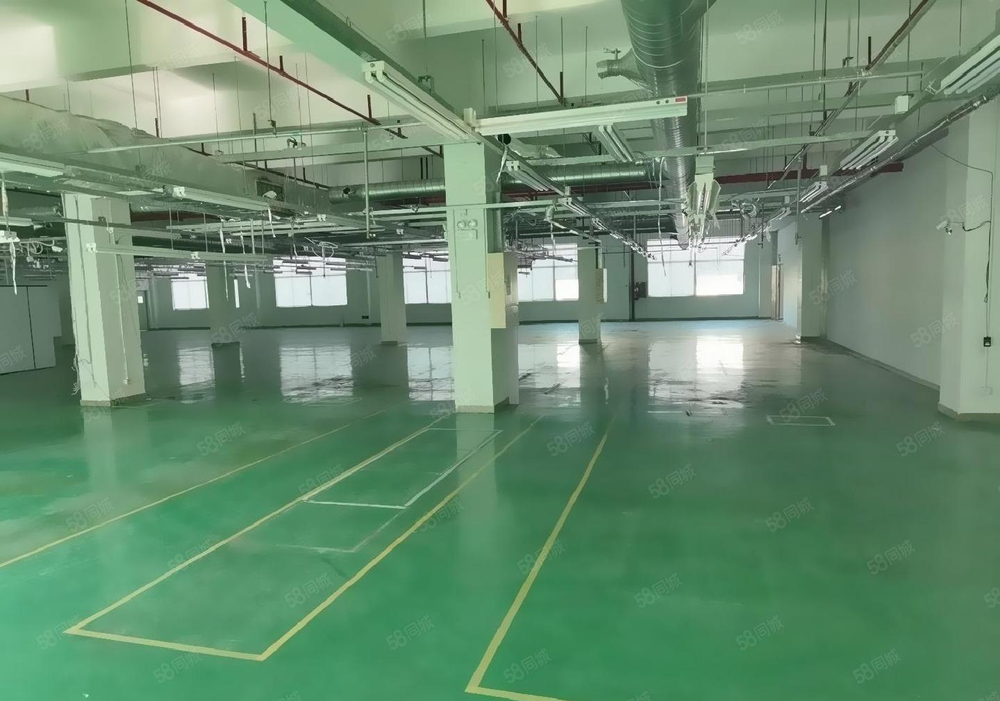 原房东！原房东2万平可分租，龙岗横岗地铁整栋厂房仓库低价出租