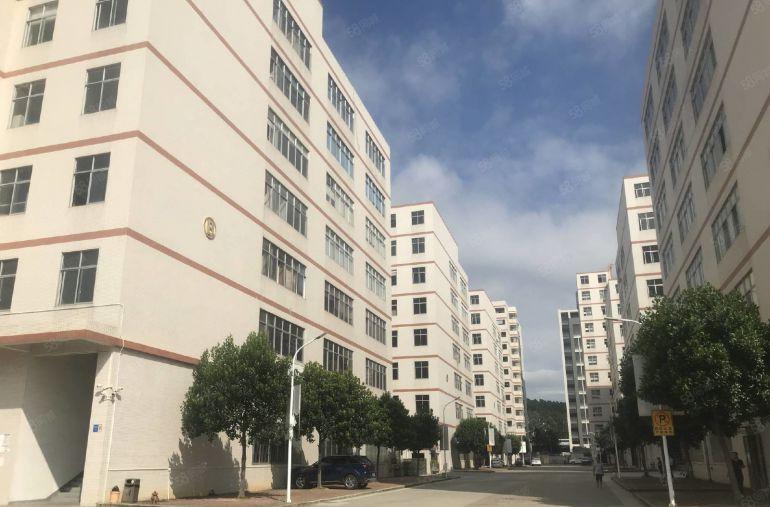 平湖华南城地铁口电商产业园1500平厂房出租！带装修办公仓库