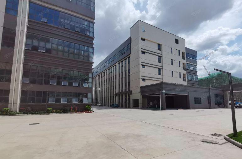 龙岗大道主干道原房东2000平标准厂房仓库出租，可分租