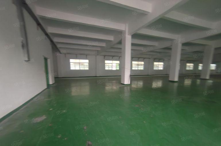 龙岗坂田2000平方标准厂房1000平方可分租