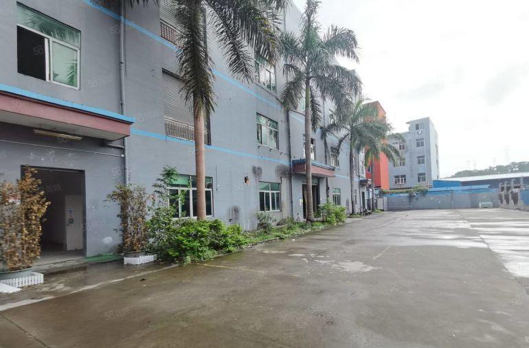 龙岗南联新出原房东独院7200平带装修厂房出租可分租一楼6米