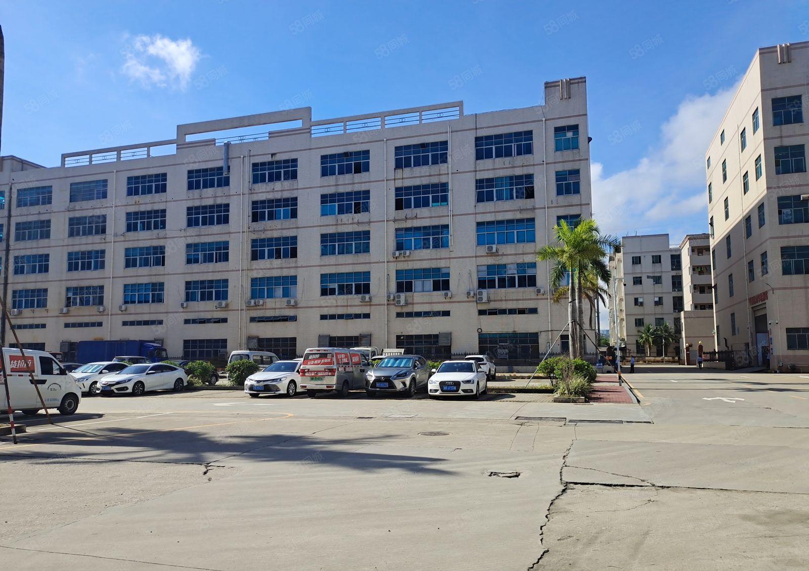 原房东！平湖华南城旁8仟平独栋，可分租，厂房仓库低价出租