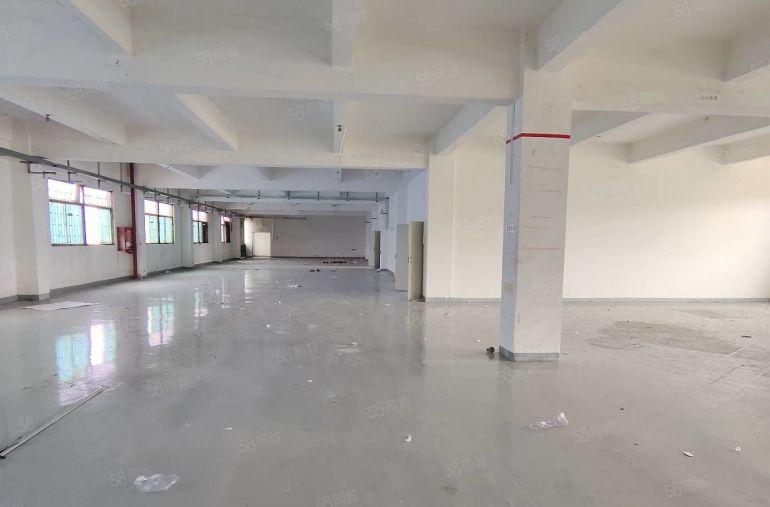 同乐爱南路边附近工业区内500平简装仓库电商研发厂房出租可分