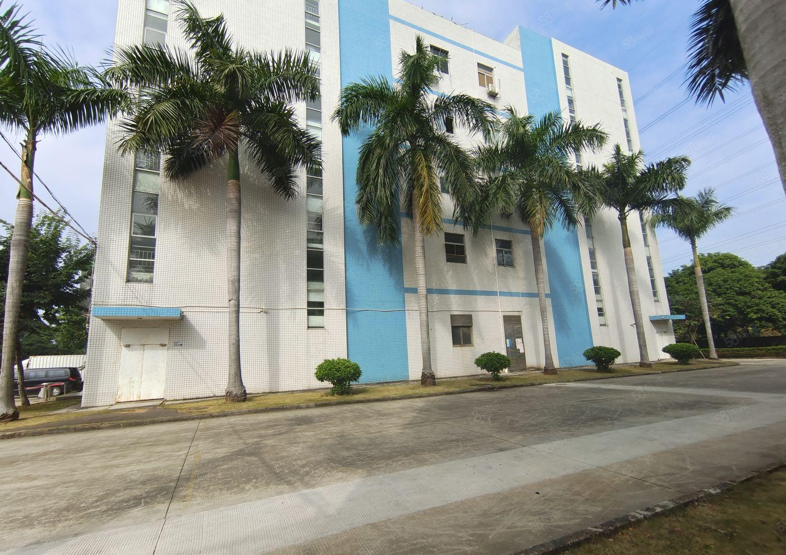 爱联大型电商园新空出500平方带精装修办公室仓库厂房出租